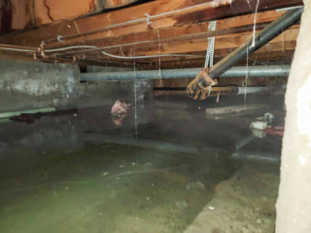 Best Flooded house restoration  in St Andrews, SC