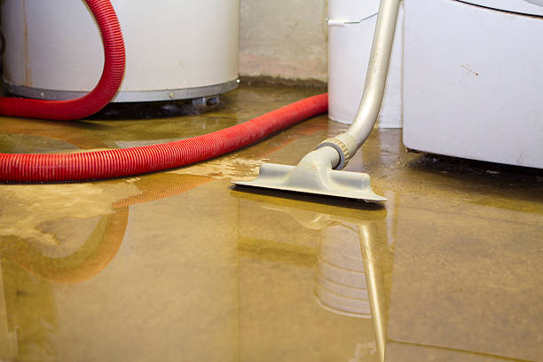 Best Sewage cleanup and water damage restoration  in St Andrews, SC