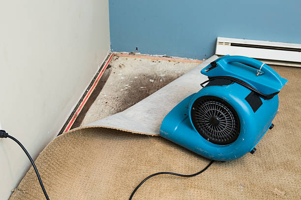 Best Water damage cleanup near me  in St Andrews, SC
